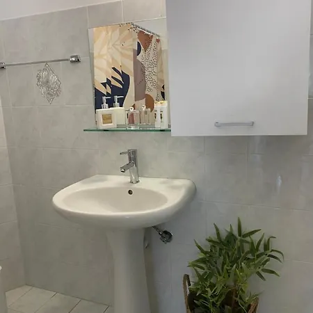 Nymphaea Sea View Zipárion